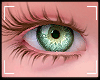 eyes kid F/M