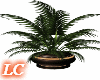 LC-Fall Plant V1