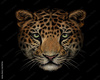 SMTI leopards ClassRoom