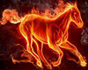 dj fire horses