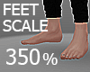 Feet Scale 350%
