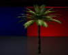 (SS)Palm Tree Realistic