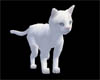 *!Adult White Cat (A)