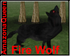 )o( Dark Wolf Fire Eyes
