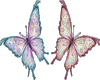 Twin Butterflies
