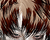 𝔁. Stylish mullet BR