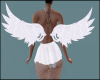[V] ANGEL Wings
