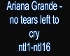 A.G.No Tears Left To Cry