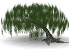 ANIMATED WILLOW TREE