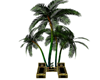 Luxuary Chaises Palms