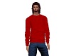 Sweater red man Miel