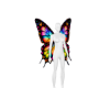 Glass Butterfly Wings