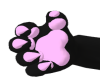 Pink Paws M
