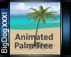 [BD]Animated Palm Tree
