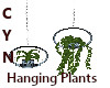 Haqnging Plants
