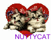 love kittens Sticker