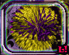 L! Novacina Pompoms