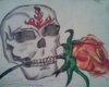 Skull & Rose Wall Art