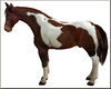 Animated Spotted Horse