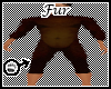 Tck_Brown Bear Furkini