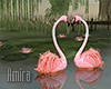 2 Lake Flamingo