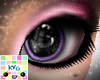 |Kyo|Purple Dilated Eyes