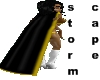 Storm Cloak