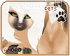 [Pets] Phar | andro fur