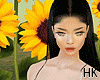 HK`Sunflowers