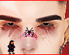 Alcibiade brows