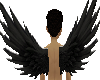 black angel wings (m)