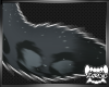 OBSERVER | Tail