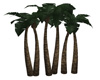 CW Paradise Palms