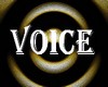 Voice sal3