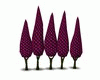 trees cyprus purple 5