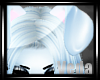 :V: SkiClou Ears1::