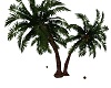 Palmtree falling coconut
