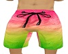 lv beach shorts v2