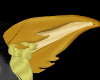 lemon ears|Collab