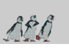 [SH11]Dancing Penguins