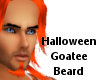 Halloween Goatee Beard