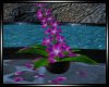 BB|Pink Plumeria Flower