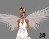 Angel Wings Animated~