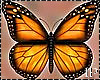 Butterflies Animated