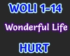 Hurt - Wonderful Life