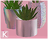|K 💖 Plants Life