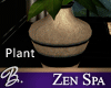 *B* Zen Spa Plant