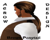 Ponytail Brown Hair