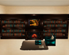Teal Bookcase
