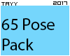 T* 65 Poses Pack1*